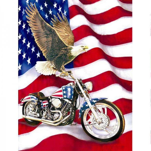 11ct Full cross stitch | Motorcycle, eagle and flag（30x40cm） Painting By Numbers UK