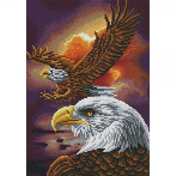 14ct Full cross stitch | eagle（30x40cm） Painting By Numbers UK