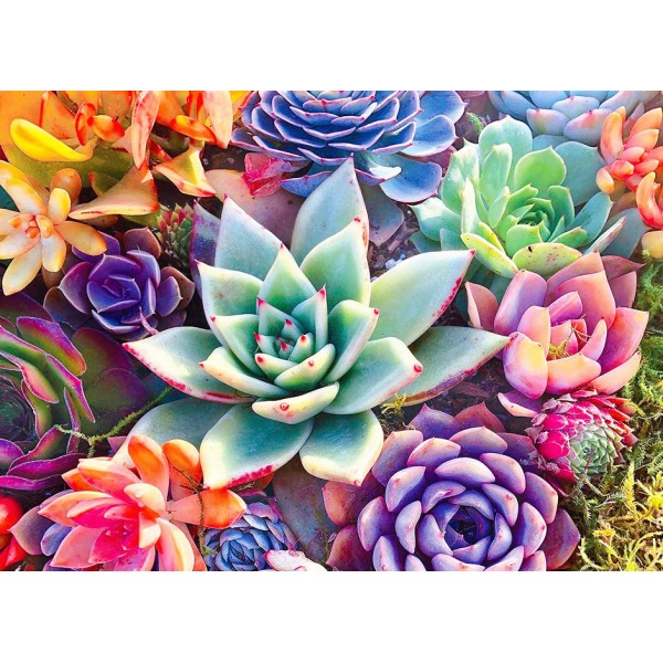 【Vote】Colorful plants- 40*50cm Painting By Numbers UK