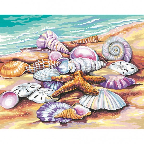 Beach shells- 40*50cm Painting By Numbers UK