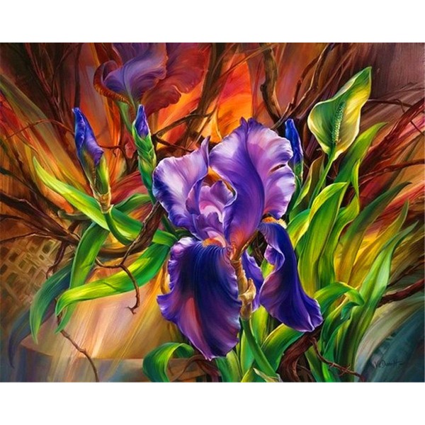 Flower German Iris Painting By Numbers UK