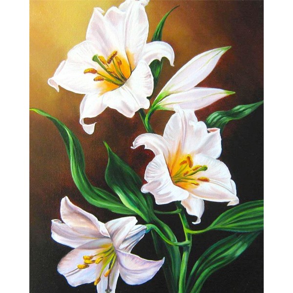 Flower white lily Painting By Numbers UK