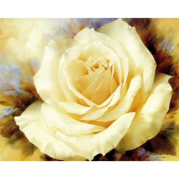 Flower White Rose Painting By Numbers UK