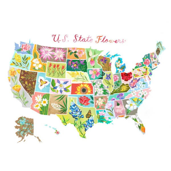 US State flowers- 40*50cm Painting By Numbers UK