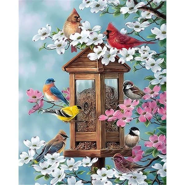 Bird's home Painting By Numbers UK
