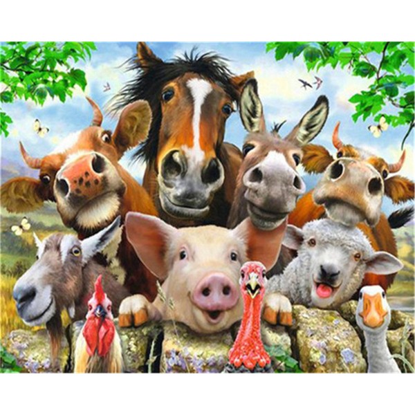 Group photo of farm animals Painting By Numbers UK