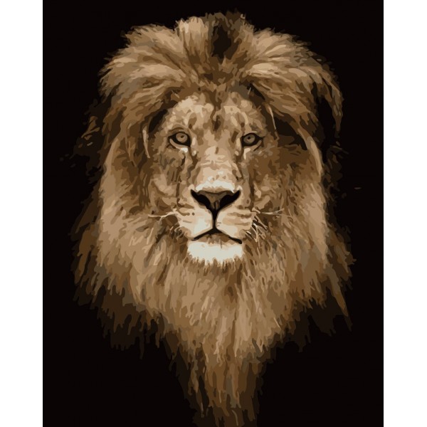  Animal Lion Painting By Numbers UK