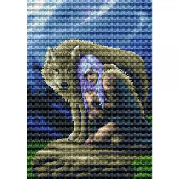 11ct Full cross stitch | Beauty and wolf（30x40cm） Painting By Numbers UK