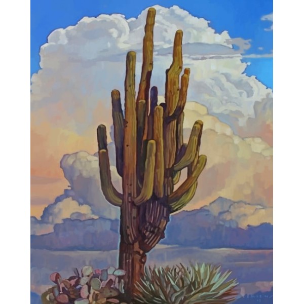 Aesthetic Cactus Plant (40X50cm) Painting By Numbers UK