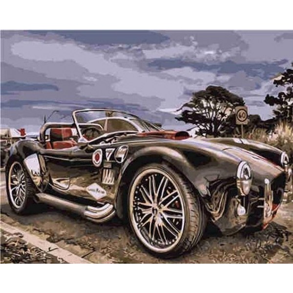 Epic Race Car (40X50cm) Painting By Numbers UK