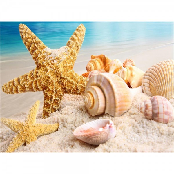 11ct Full cross stitch | Starfish and shells（30x40cm） Painting By Numbers UK