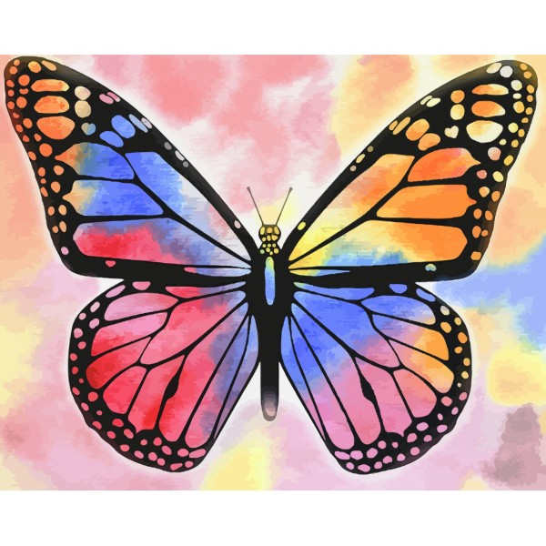Colorful butterfly- 40*50cm Painting By Numbers UK