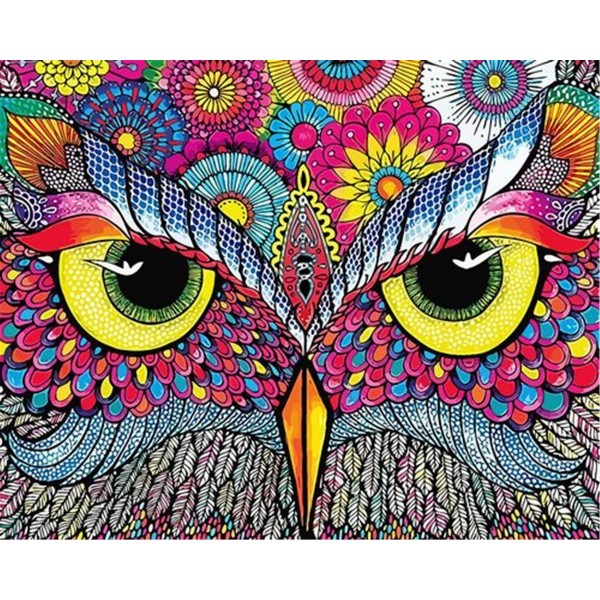 Colorful Owl Painting By Numbers UK