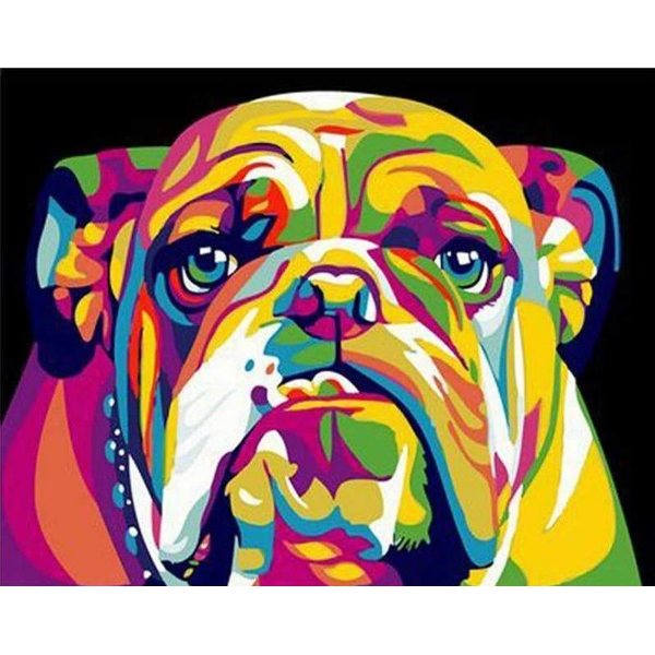Colorful bulldog Painting By Numbers UK