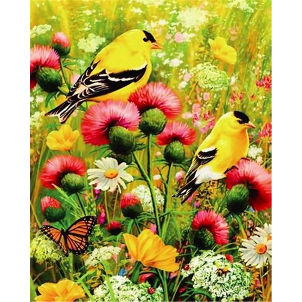Cute birds on flower Painting By Numbers UK