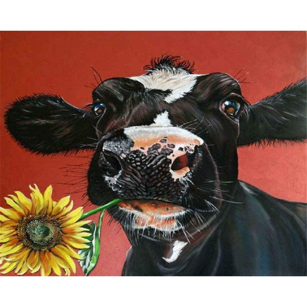 Cow biting sunflower Painting By Numbers UK