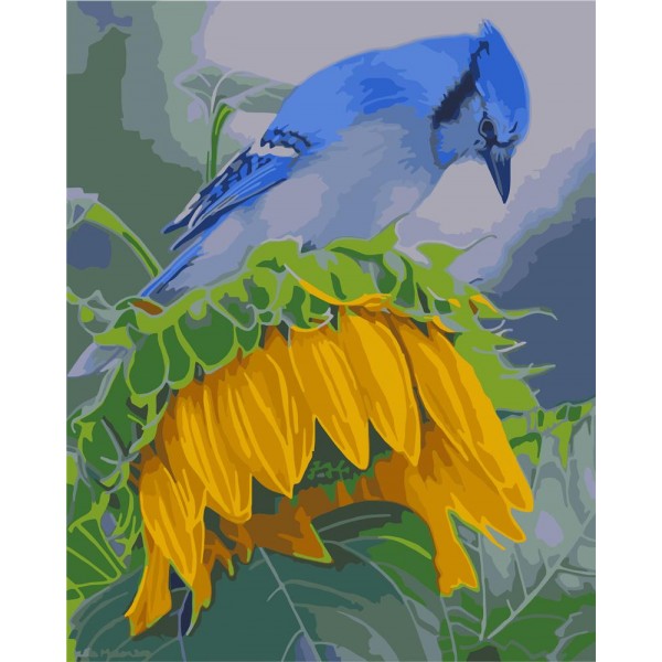 Flowers and birds Painting By Numbers UK