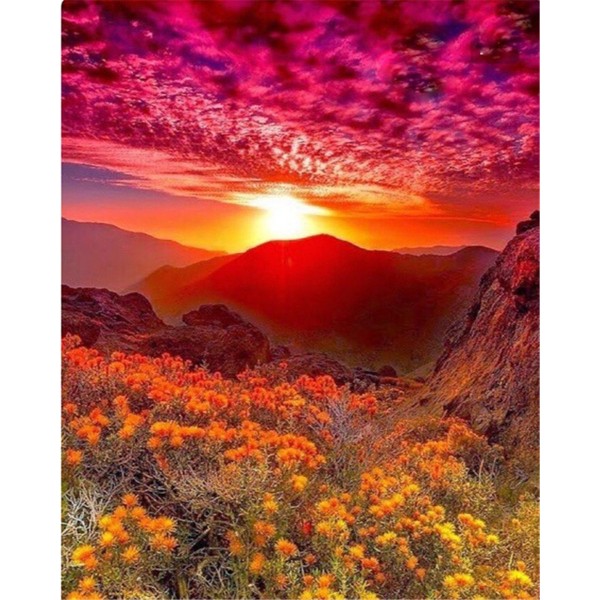 Flowers on the mountain at red sunset Painting By Numbers UK