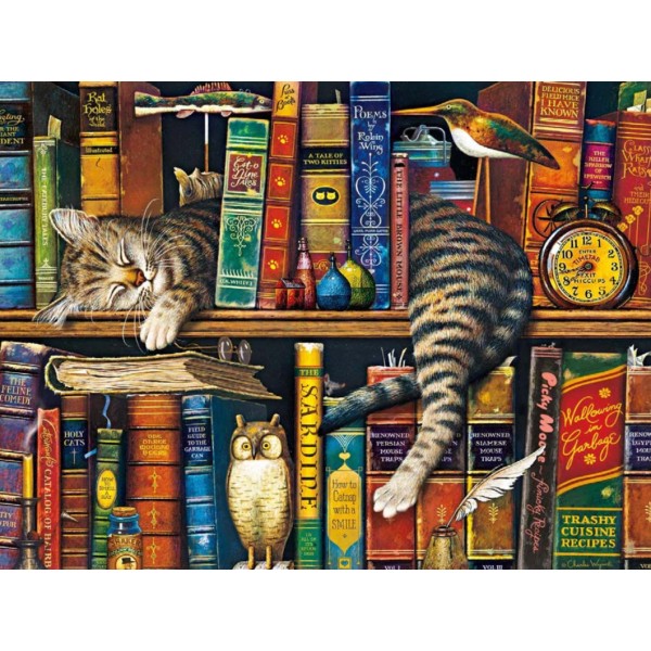 Cat sleeping on bookshelf- 40*50cm Painting By Numbers UK