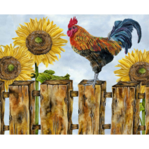 Rooster and sunflower- 40*50cm Painting By Numbers UK