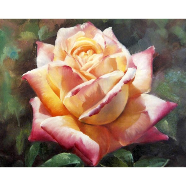 Perfume rose Painting By Numbers UK