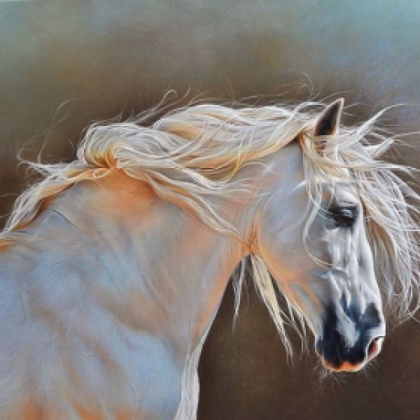 Horse- 40*50cm Painting By Numbers UK