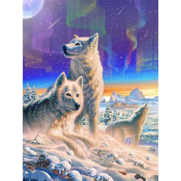 Snow Mountain Wolf- 40*50cm Painting By Numbers UK