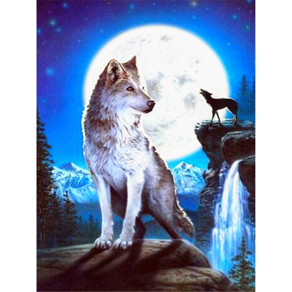 Wolf- 40*50cm Painting By Numbers UK