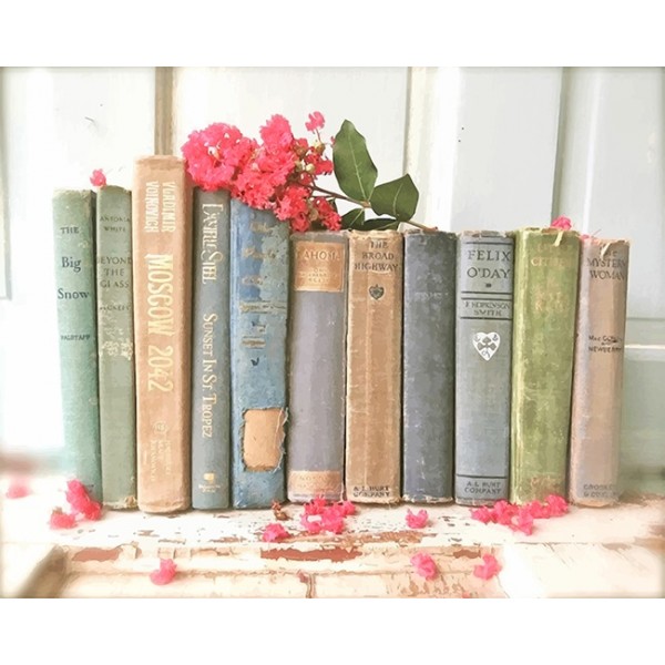 Vintage Books  (40X50cm) Painting By Numbers UK