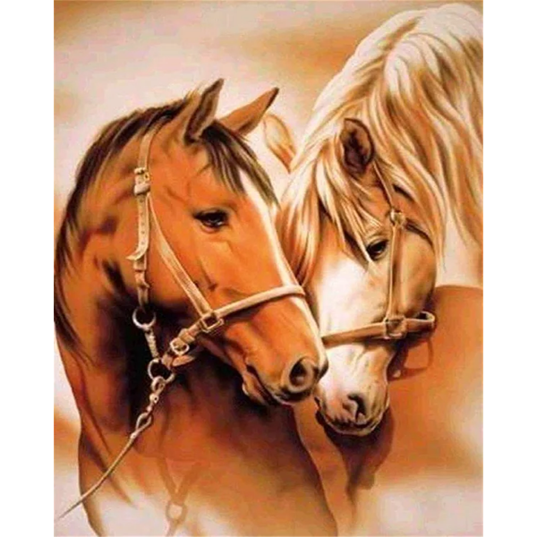 Brown horse couple bathing in love Painting By Numbers UK