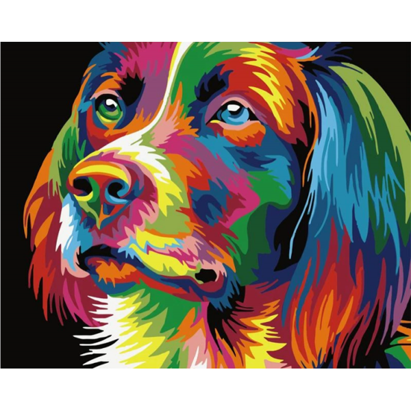Colorful Dog Animals Painting By Numbers UK