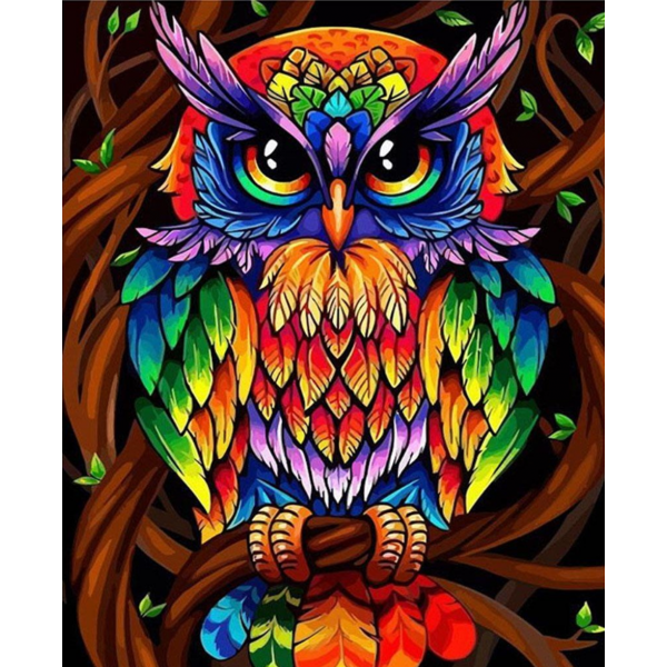 Colorful owl Painting By Numbers UK