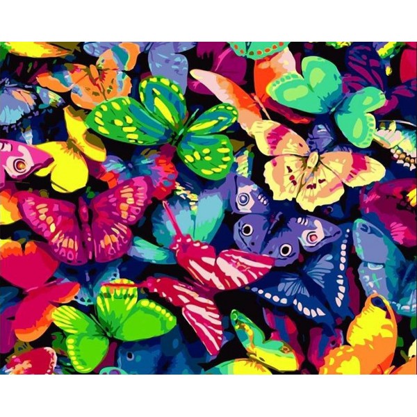 Colorful Butterfly Painting By Numbers UK