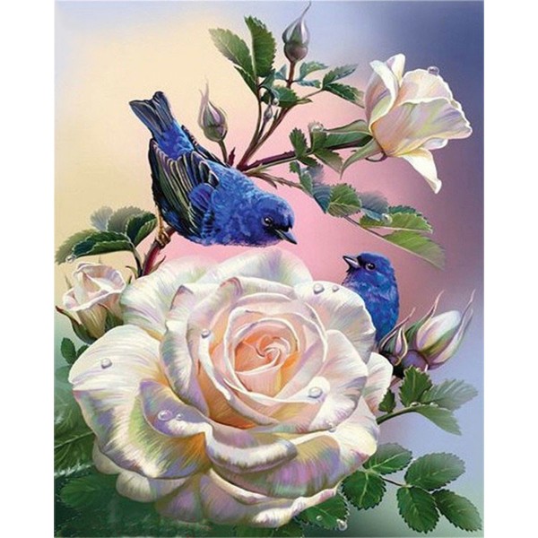 Indigo Bunting on pink rose flower Painting By Numbers UK