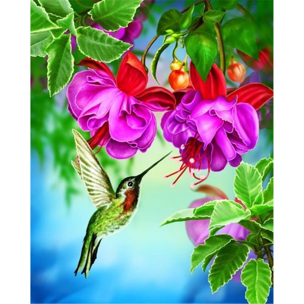 Hummingbird and flower fuchsia Painting By Numbers UK
